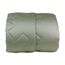 edredom-king-size-300-fios-buettner-platine-color-verde-principal